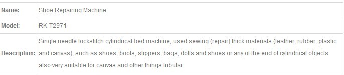 Zoyer单针筒床鞋修理机（ZY 2973）